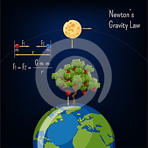 Newton`s Gravity law infographic with Earth globe, moon, apple tree and basic diagram.