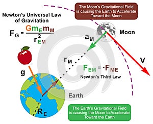 Newton universal law of gravitation infographic diagram physics science