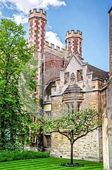 Newtons apple tree at Trinity College, Cambridge photo