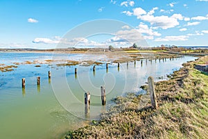 Newtown IOW Reserve high tide saltmarsh on a bright day