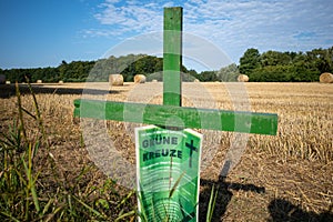 Next to  grain field there is a green cross as a symbol of protest of the farmers