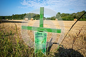 Next to  grain field there is a green cross as a symbol of protest of the farmers