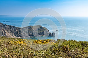 Nez de Jobourg - Coastline on peninsula Cotentin near Jobourg, F