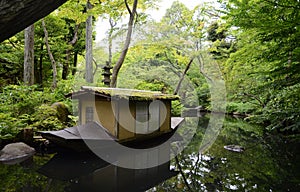 Nezu museum garden in summer, Tokyo, Japan