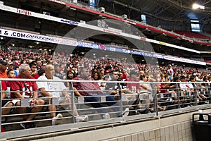 NFL Arizona Cardinals football team training camp fans