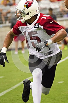 NFL Arizona Cardinals football team training camp