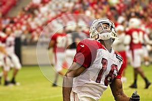 NFL Arizona Cardinals football team training camp