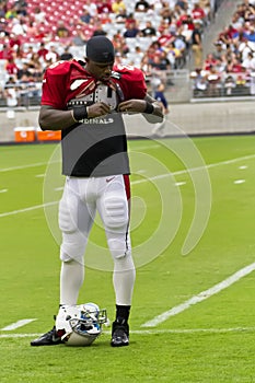 NFL Arizona Cardinals football team training camp