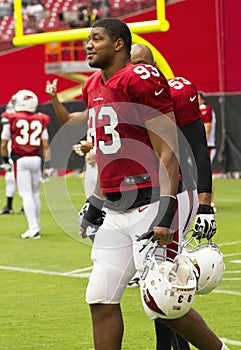 NFL Arizona Cardinals football team training camp