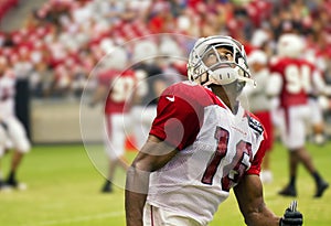 NFL Arizona Cardinals football team training camp