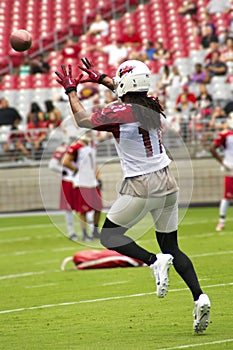 NFL Arizona Cardinals football team training camp