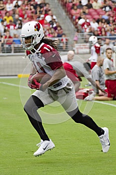 NFL Arizona Cardinals football team training camp