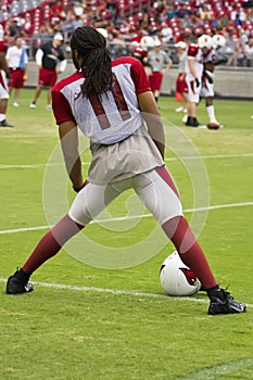 NFL Arizona Cardinals Larry Fitzgerald