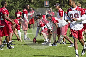 NFL Arizona Cardinals training camp