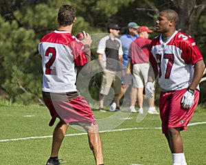 NFL Arizona Cardinals training camp