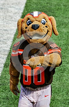 NFL Mascot Chomps The Cleveland Browns