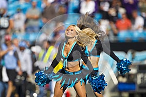 NFL: Nov 21 Baltimore Ravens Vs Carolina Panthers