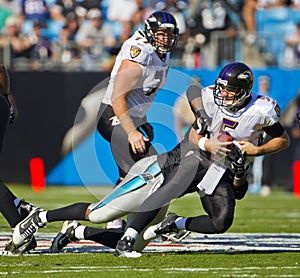 NFL: Nov 21 Baltimore Ravens Vs Carolina Panthers