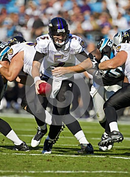 NFL: Nov 21 Baltimore Ravens Vs Carolina Panthers