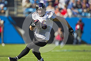 NFL: Nov 21 Baltimore Ravens Vs Carolina Panthers