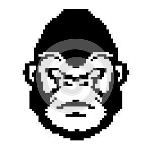 NFT art cryptopunk a monkey