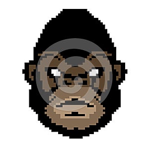 NFT art cryptopunk a monkey