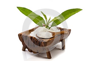 Ngai Camphor Tree green leaves and white crystal isolated on white backgroun