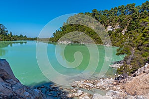 Ngakoro lake at Wai-O-Tapu in New Zealand