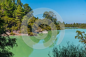 Ngakoro lake at Wai-O-Tapu in New Zealand