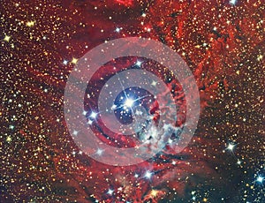 NGC 2264 Christmas Tree Cluster and Nebula