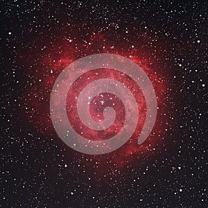 NGC 2237 - Rosette Nebula photo