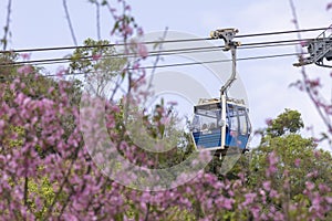 Ngong Ping 360 cable car on Tung Chung ,Lantau Island, Hong Kong. Cable car just pass the Cherry Blossom Garden.