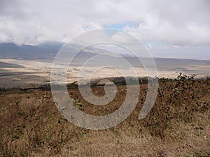 Ngorongoro Conservation Area photo