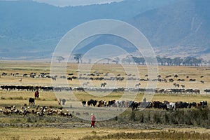 Ngorongoro Crater photo