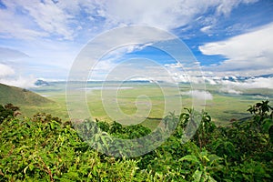 Ngorongoro crater area in Tanzania photo