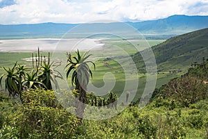 Ngorongoro Crater with Lake Magadi landscape