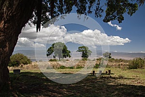 Ngorongoro Crater Panorama from Viewpoint Rim in Tanzania, Africa