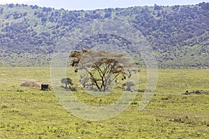 Ngorongoro crater in Tanzania