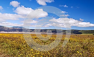 Ngorongoro valley