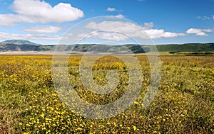 Ngorongoro valley