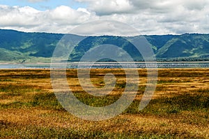 Ngorongoro valley