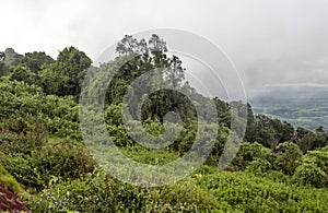 Ngorongoro valley