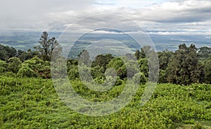 Ngorongoro valley