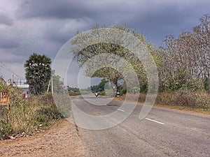 NH 67 A road side  tree landscape with clouds in Thanjavur tamilnadu India