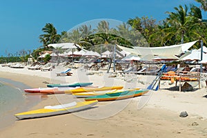 Colored kayaks and oars on a sandy beach and tropic parasols