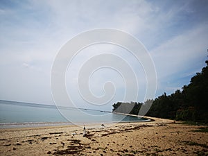 Nia tron beach photo