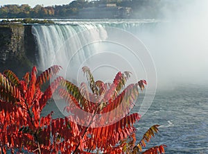 Niagara Falls in Autumn