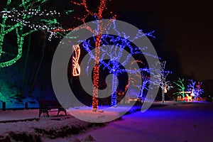 Niagara Falls Dufferin Light Festival Trees photo