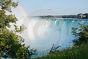 Niagara falls horseshoe close with rainbow and trees in front , Canada , summer