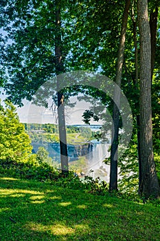 Niagara Falls, Queen Victoria Park, view of Niagara Falls through the trees, Canada. High quality photo